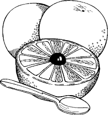 Coloring page grapefruit and teaspoon